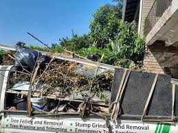 Reliable Beechwood, MI Junk Removal Solutions